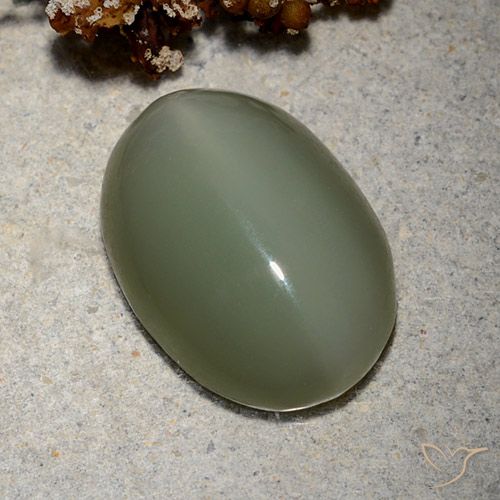 8.62ct طبيعي أخضر متوسط عين القط أكتينوليت, بيضوي, نصف شفاف