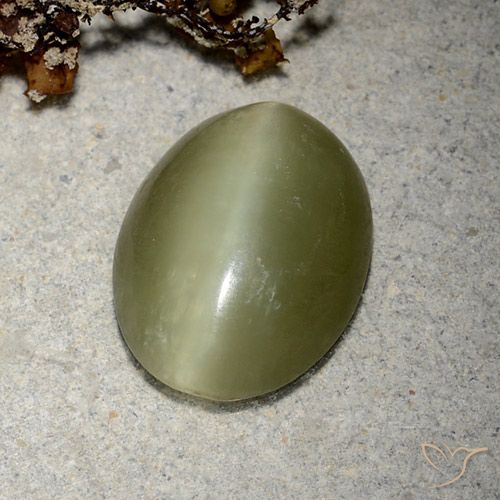 Actinolite Cat's Eye طبيعي بلون أخضر مصفر، وزن ‎5.10‎ قيراط، شكل بيضاوى، مقاس ‎14.4x11.2‎ مم