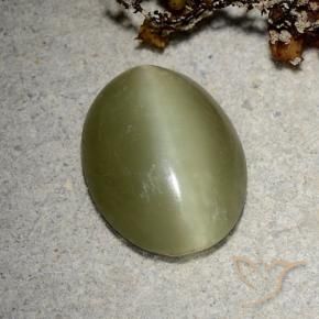 Actinolite Cat's Eye طبيعي بلون أخضر مصفر، وزن ‎5.10‎ قيراط، شكل بيضاوى، مقاس ‎14.4x11.2‎ مم