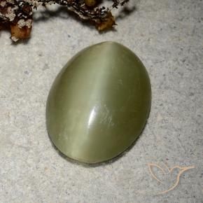 Actinolite Cat's Eye طبيعي بلون أخضر مصفر، وزن ‎5.10‎ قيراط، شكل بيضاوى، مقاس ‎14.4x11.2‎ مم