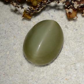 Actinolite Cat's Eye طبيعي بلون أخضر، وزن ‎2.78‎ قيراط، شكل بيضاوى، مقاس ‎10.3x8‎ مم
