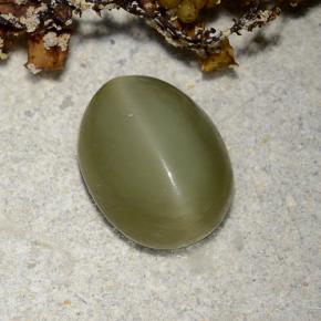 Actinolite Cat's Eye طبيعي بلون أخضر، وزن ‎2.78‎ قيراط، شكل بيضاوى، مقاس ‎10.3x8‎ مم