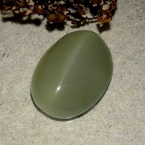 6.03ct طبيعي أخضر زيتونى عين القط الأكتينوليت, بيضوي, نصف شفاف