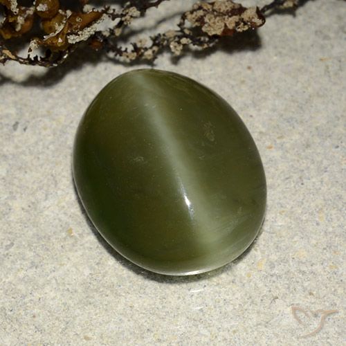 5.83ct طبيعي أخضر غامق عين القط الأكتينوليت, بيضوي, نصف شفاف