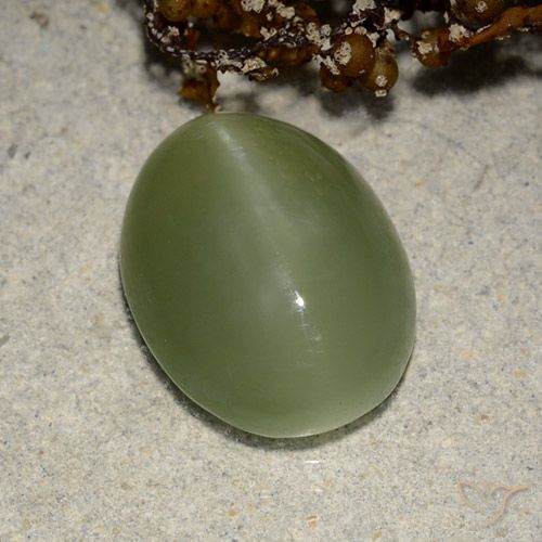 5.84ct طبيعي أخضر ترابى عين القط أكتينوليت, بيضوي, نصف شفاف