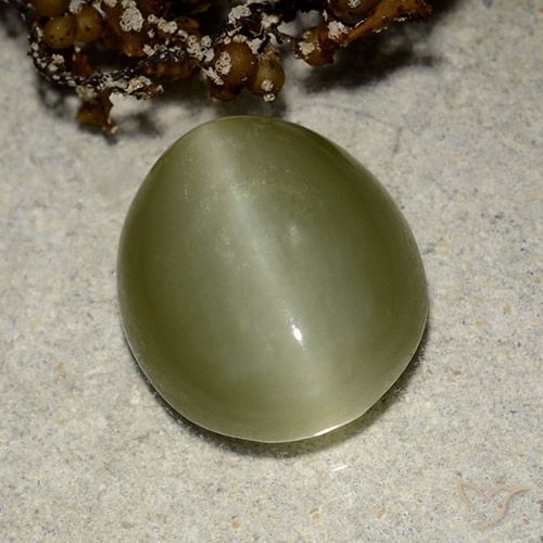 6.75ct طبيعي أخضر دافئ عين القط الأكتينوليت, بيضوي, نصف شفاف