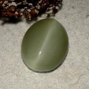 Actinolite Cat's Eye طبيعي بلون أخضر ترابى، وزن ‎5.41‎ قيراط، شكل بيضاوى، مقاس ‎13.5x10.7‎ مم