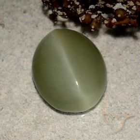 Actinolite Cat's Eye طبيعي بلون أخضر ترابى، وزن ‎5.41‎ قيراط، شكل بيضاوى، مقاس ‎13.5x10.7‎ مم