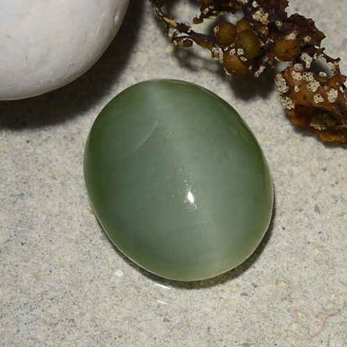 5.48ct طبيعي أخضر رمادى عين القط الأكتينوليت, بيضوي, نصف شفاف