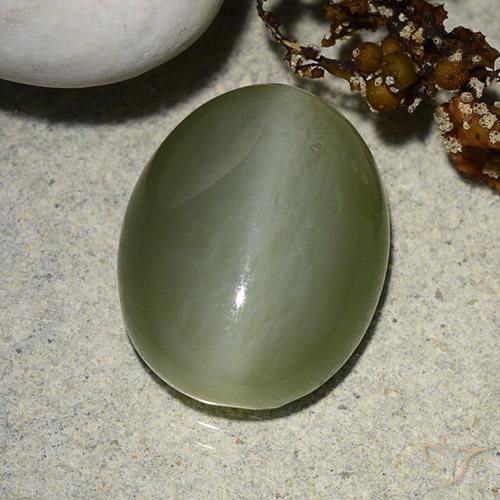 8.99ct طبيعي أخضر طحلبى عين القط الأكتينوليت, بيضوي, نصف شفاف