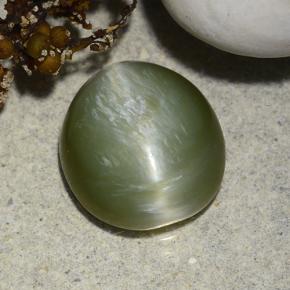 Actinolite Cat's Eye طبيعي بلون أخضر، وزن ‎4.58‎ قيراط، شكل بيضاوى، مقاس ‎11.6x10.7‎ مم