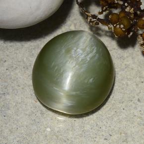 Actinolite Cat's Eye طبيعي بلون أخضر، وزن ‎4.58‎ قيراط، شكل بيضاوى، مقاس ‎11.6x10.7‎ مم