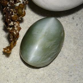 Actinolite Cat's Eye طبيعي بلون أخضر، وزن ‎4.96‎ قيراط، شكل بيضاوى، مقاس ‎14.1x10‎ مم