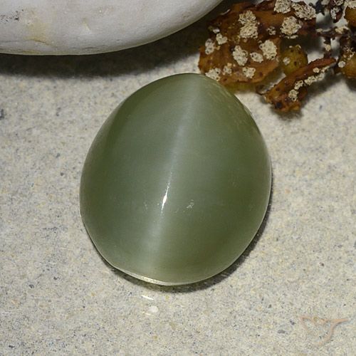 5.93ct طبيعي أخضر ترابى عين القط الأكتينوليت, بيضوي, نصف شفاف