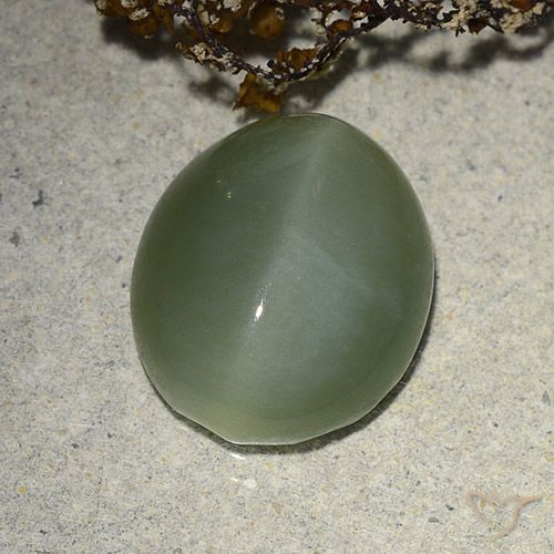 7.31ct طبيعي أخضر متوسط عين القط الأكتينوليت, بيضوي, نصف شفاف