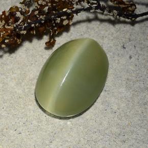 Actinolite Cat's Eye طبيعي بلون أخضر، وزن ‎4.89‎ قيراط، شكل بيضاوى، مقاس ‎13.5x9.9‎ مم