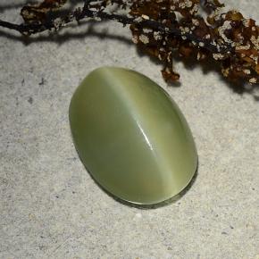 Actinolite Cat's Eye طبيعي بلون أخضر، وزن ‎4.89‎ قيراط، شكل بيضاوى، مقاس ‎13.5x9.9‎ مم