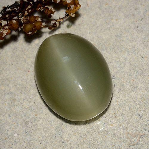 7.05ct طبيعي الأخضر الغامق عين القط الأكتينوليت, بيضوي, نصف شفاف