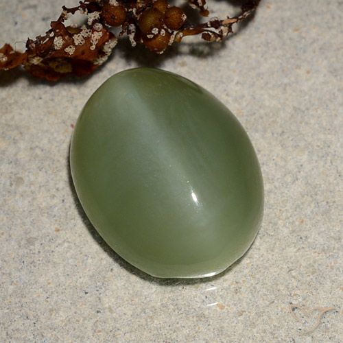 6.88ct طبيعي أخضر متوسط عين القط الأكتينوليت, بيضوي, نصف شفاف