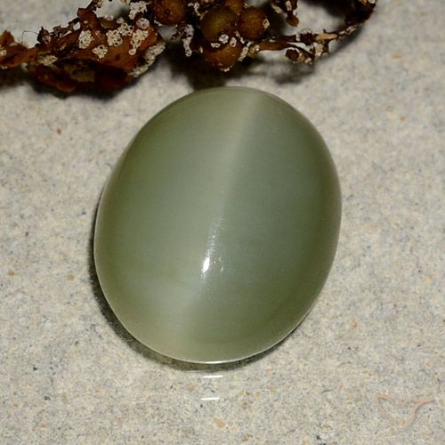 5.10ct طبيعي أخضر مصفر عين القط الأكتينوليت, بيضوي, نصف شفاف