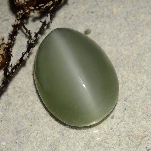 6.84ct طبيعي أخضر دافئ عين القط الأكتينوليت, بيضوي, نصف شفاف
