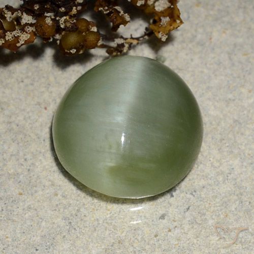4.90ct طبيعي أخضر دافئ عين القط الأكتينوليت, بيضوي, نصف شفاف