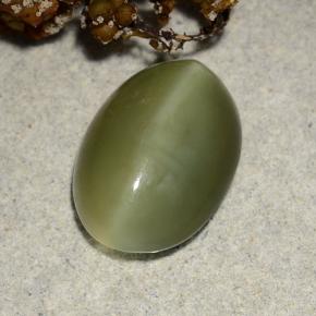 Actinolite Cat's Eye طبيعي بلون أخضر، وزن ‎4.69‎ قيراط، شكل بيضاوى، مقاس ‎13.6x9.7‎ مم