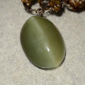 Actinolite Cat's Eye طبيعي بلون أخضر، وزن ‎4.69‎ قيراط، شكل بيضاوى، مقاس ‎13.6x9.7‎ مم