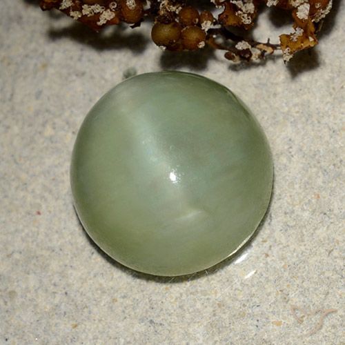 6.42ct طبيعي أخضر دافئ عين القط الأكتينوليت, بيضوي, نصف شفاف
