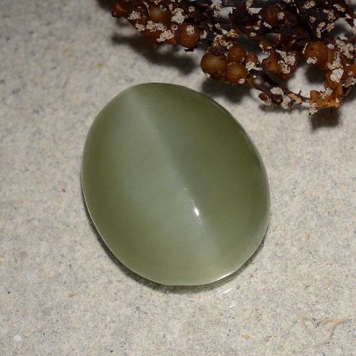 6.21ct طبيعي أخضر رمادى عين القط أكتينوليت, بيضوي, نصف شفاف