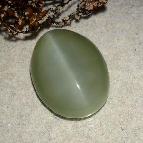 Actinolite Cat's Eye طبيعي بلون أخضر، وزن ‎8.86‎ قيراط، شكل بيضاوى، مقاس ‎16.4x12.4‎ مم