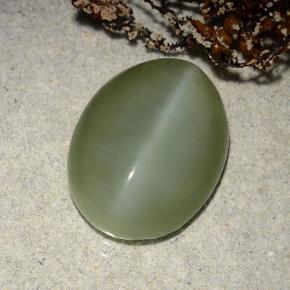 Actinolite Cat's Eye طبيعي بلون أخضر، وزن ‎8.86‎ قيراط، شكل بيضاوى، مقاس ‎16.4x12.4‎ مم