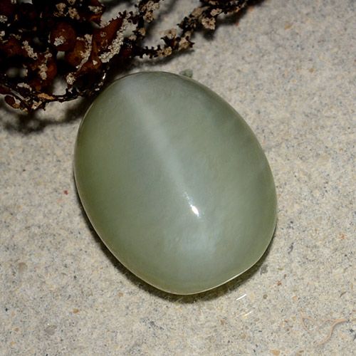5.43ct طبيعي أخصر بنى عين القط الأكتينوليت, بيضوي, نصف شفاف