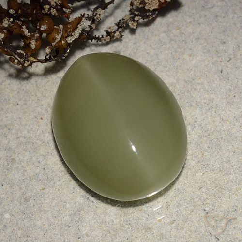 8.14ct طبيعي أخضر مصفر عين القط الأكتينوليت, بيضوي, نصف شفاف