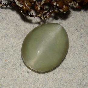 Actinolite Cat's Eye طبيعي بلون أخضر، وزن ‎2.40‎ قيراط، شكل بيضاوى، مقاس ‎10.4x8.2‎ مم
