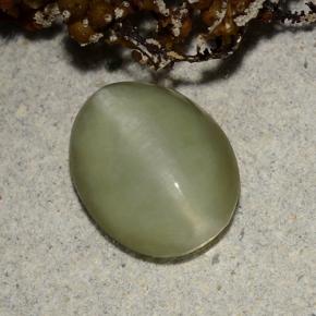 Actinolite Cat's Eye طبيعي بلون أخضر، وزن ‎2.40‎ قيراط، شكل بيضاوى، مقاس ‎10.4x8.2‎ مم