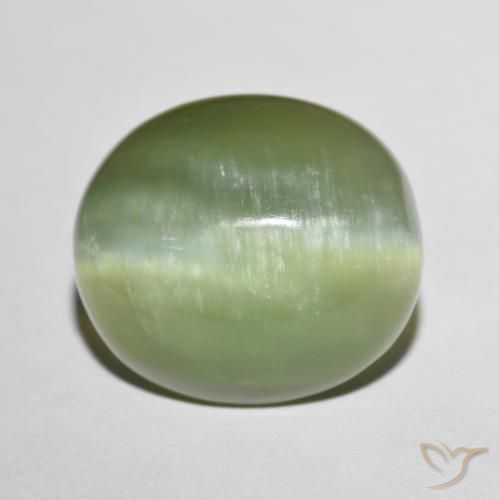 8.75ct طبيعي أخضر ترابى باهت عين القط الأكتينوليت, بيضوي, نصف شفاف