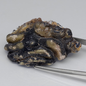 جيود عقيق متعدد الألوان طبيعي، شكل خيالي، 61.00 قيراط، غير شفاف