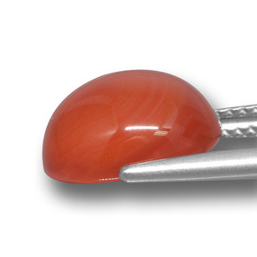 عقيق برتقالي طبيعي، قصة بيضاوى، 5.38 قيراط، نصف شفاف