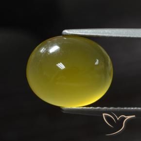 عقيق أصفر غامق طبيعي، بيضوي، 2.95 قيراط، نصف شفاف