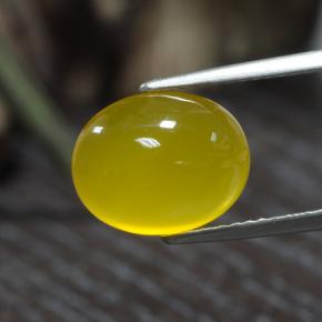 عقيق أصفر عسلى فاتح طبيعي، قصة بيضاوى، 3.84 قيراط، نصف شفاف