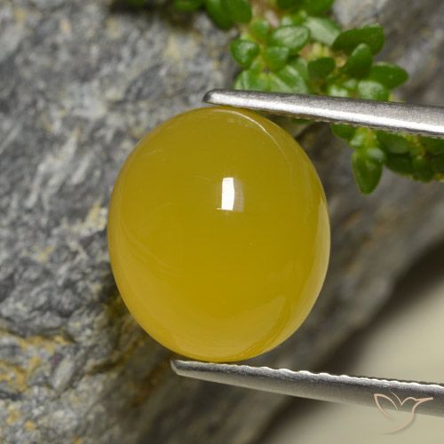 4.42ct طبيعي أصفر غامق عقيق, بيضوي, نصف شفاف