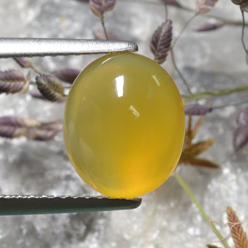 3.05ct طبيعي أصفر غامق عقيق, بيضوي, نصف شفاف