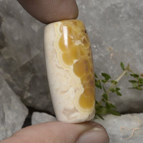 عقيق طبيعي بلون متعدد الألوان، وزن ‎56.94‎ قيراط، شكل شكل خيالي، مقاس ‎30.6x14.3‎ مم