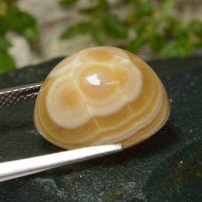 عقيق متعدد الألوان طبيعي، قصة بيضاوى، 14.86 قيراط، غير شفاف