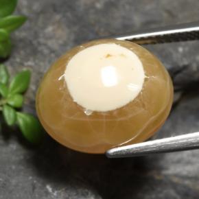 عقيق متعدد الألوان طبيعي، قصة بيضاوى، 13.60 قيراط، نصف شفاف