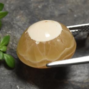 عقيق متعدد الألوان طبيعي، قصة بيضاوى، 13.60 قيراط، نصف شفاف