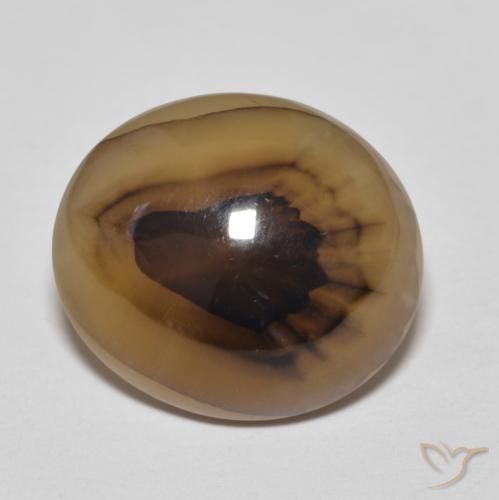 9.50ct طبيعي متعدد الألوان عقيق, بيضوي, نصف شفاف