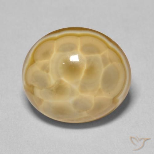 11.80ct طبيعي متعدد الألوان عقيق, بيضوي, غير شفاف