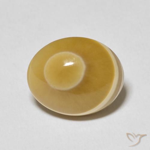8.59ct طبيعي متعدد الألوان عقيق, بيضوي, غير شفاف
